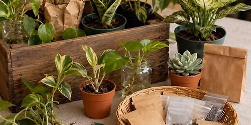 Plant Swap