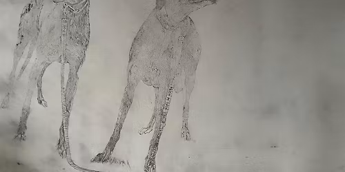 6 Week drawing Introduction