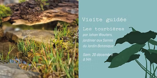 Visite guid\u00e9e - Les tourbi\u00e8res