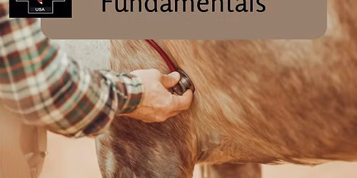 Equine First Aid Fundamentals