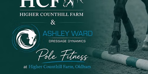FUN POLE FITNESS with ASHLEY WARD