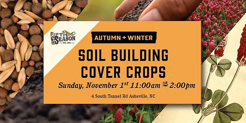 Soil Building & Cover Crops for Autumn & Winter