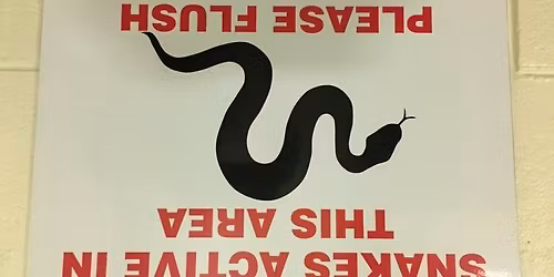 Travels Down Under - The Leggets