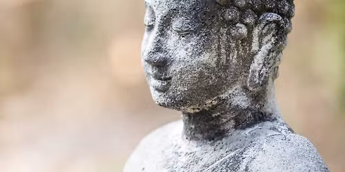 Hatha Yoga \u00e0 Alkima Studio