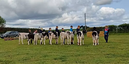 LHC Young Breeders Day
