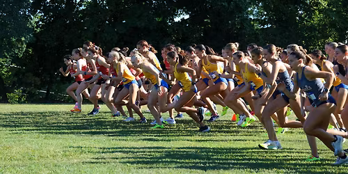 Parking Pittsburgh Panthers at Virginia Cavaliers Womens Basketball