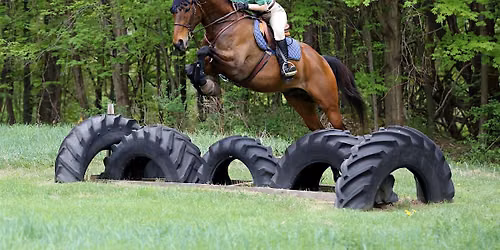 2026 Locust Hill Fall Hunter Pace