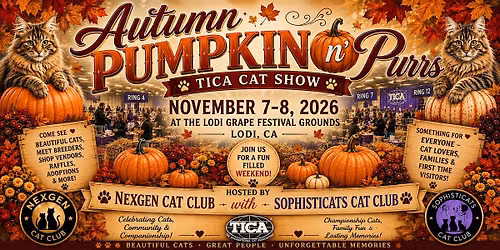 Autumn Pumpkin n\u2019 Purrs
