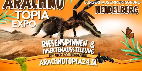 Riesenspinnen & Insektenausstellung - Heidelberg