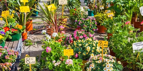 North Mac Plant Sale and Cookout