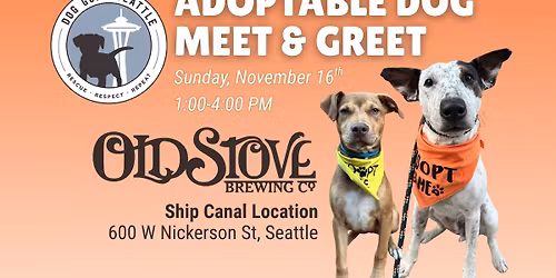 Adoptable Dog Meet & Greet