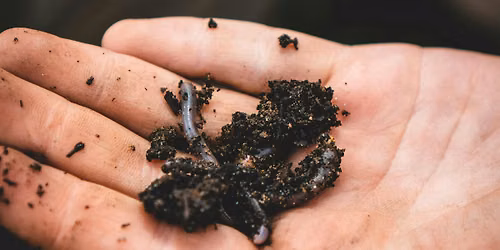 Family Friendly Wormery & Composting workshop