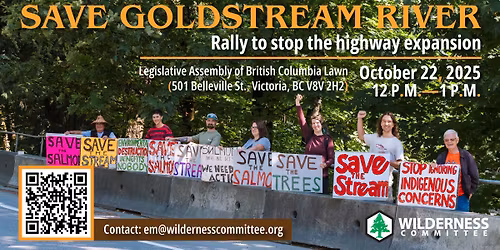 Rally to Save Goldstream River