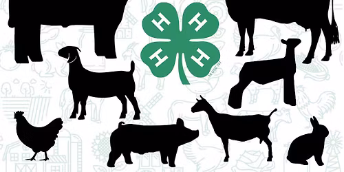 Livestock Quality Assurance & Ethics (LQA&E) Training