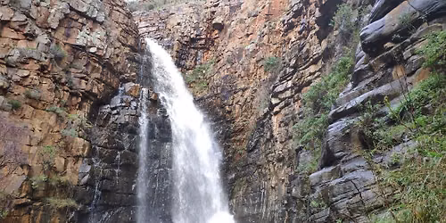 First Falls habitat restoration