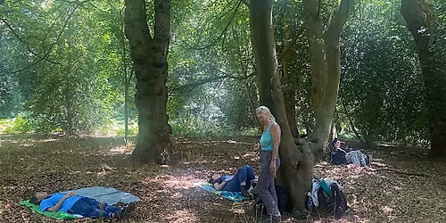 Autumn Equinox Forest Bathing: Mists, Turning Leaves & Woodland Stillness