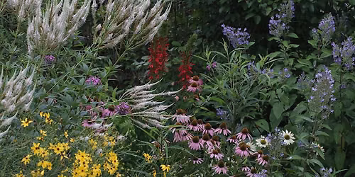 Creating Biodiverse Habitat for Pollinators and Other Wildlife