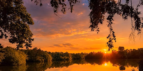 Lincoln Hike Club - Sunset Walk 3- The Swanholme set!