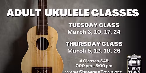 Adult Ukulele Class Series
