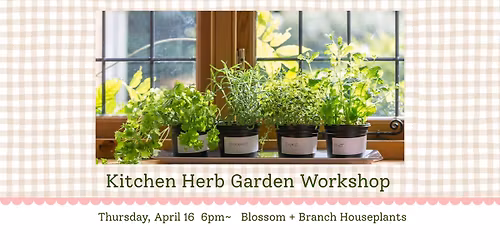 \ud83e\udeb4Kitchen Herb Garden Workshop~