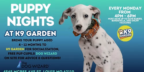 Puppy Nights at K9 Garden