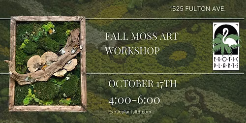 Fall Moss Art Workshop