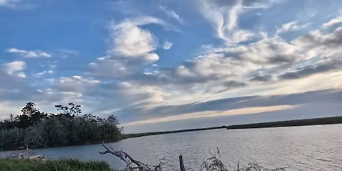 Visit christchurch 2025