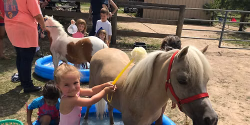 Pony Splash and Pony Rides for kids 18 Months to 5 years,