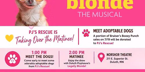 Adoptable Dogs @ The NorShore: Legally Blonde the Musical!
