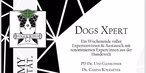 Dogs Xperts