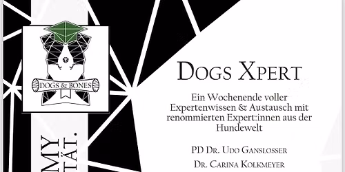 Dogs Xperts