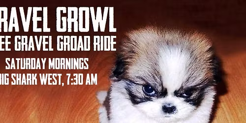 The Big Shark West Gravel Growl