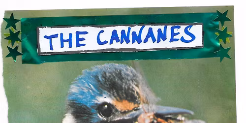 The Cannanes & The Pee Wee 50s live at the oak 03.01.26