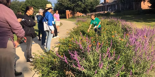 Spring Pollinator Walk