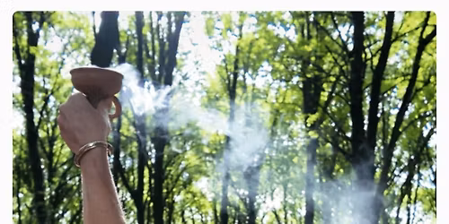 Joyful connected healing day retreat 