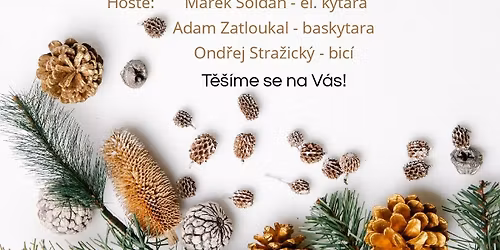 V\u00e1no\u010dn\u00ed koncert DPS Ml\u00e1d\u00ed a Benjam\u00ednek