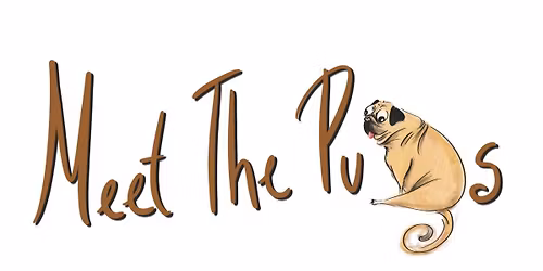 Meet the Pugs