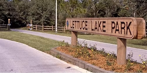 Hospitality Graduation Celebration