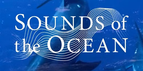 Sounds of the Ocean in Phoenix Az