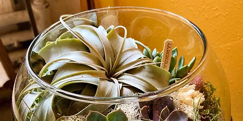 Desert Globe Terrarium Workshop