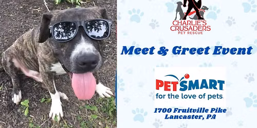 Meet & Greet Adoptable Dogs