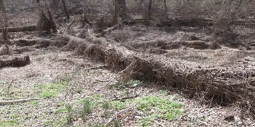 NOVEMBER 2025 SSGC MEETING: \u201cInvasive Species: Friend or Foe?\u201d