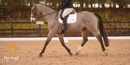 British Dressage