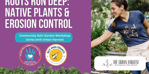 Roots Run Deep: Native Plans & Erosion Control