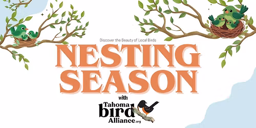 Nesting Season with Tahoma Bird Alliance \ud83e\udeba