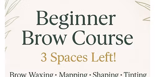 BEGINNER BROW CLASS