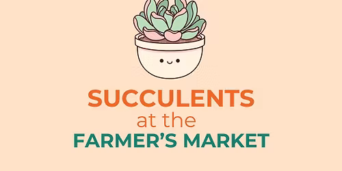 Succulents at the Farmer's Market!