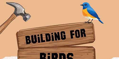 Building for Birds