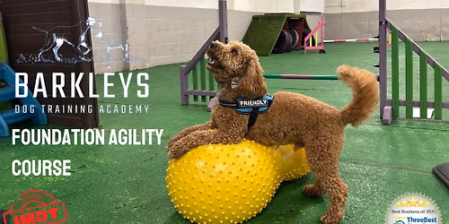 Foundation Agility Course 