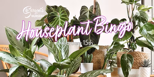 Houseplant at Garcias Chicago